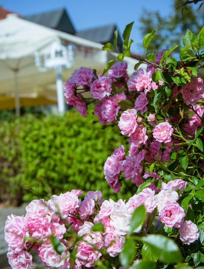 Landhotel Schneider リーデンブルク エクステリア 写真